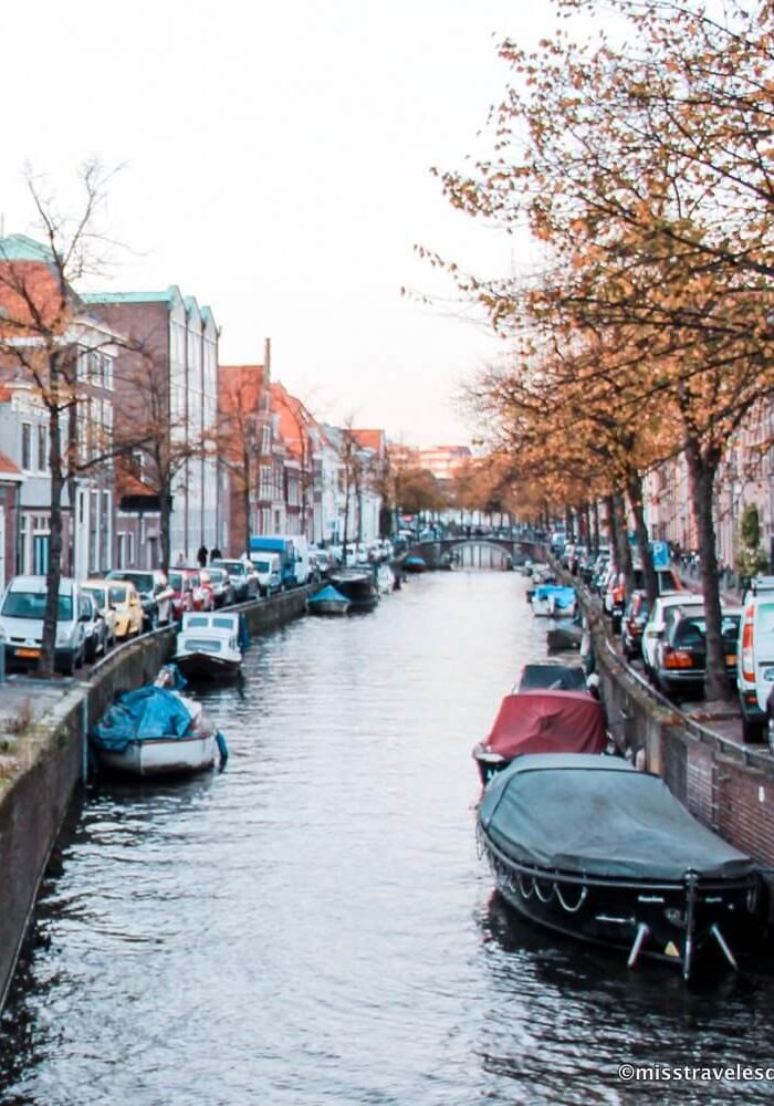 Day Trips From Amsterdam: 5 Awesome Destinations