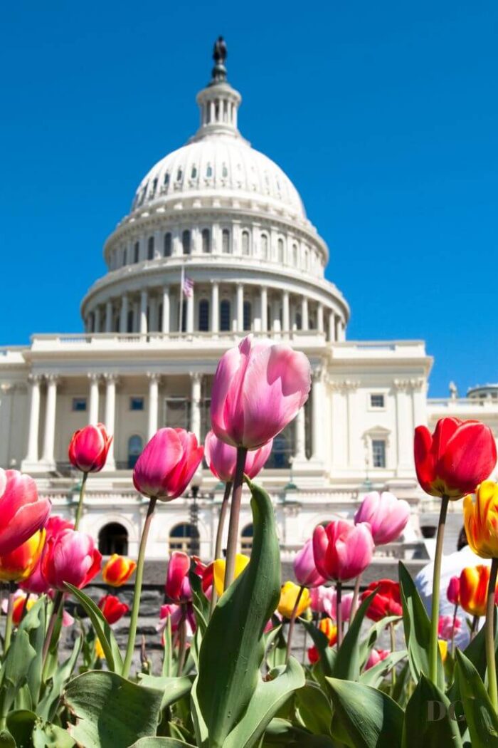 The Best Places to Go for Spring Break