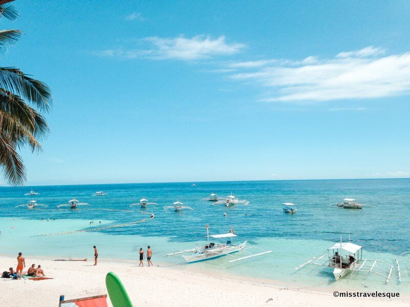 Panglao beach resort