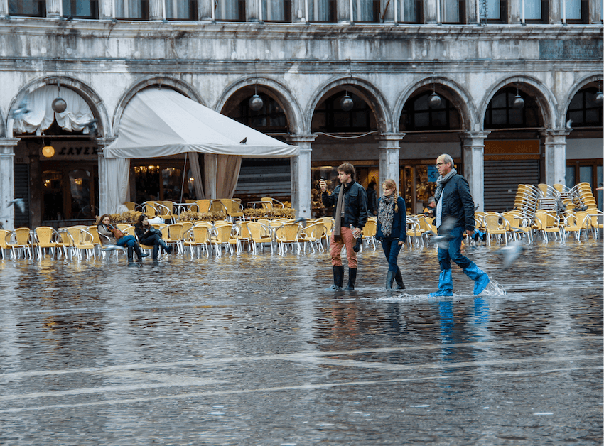 Venice in November