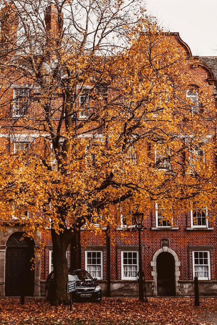 Ireland in October: A Spellbinding Celebration of Halloween