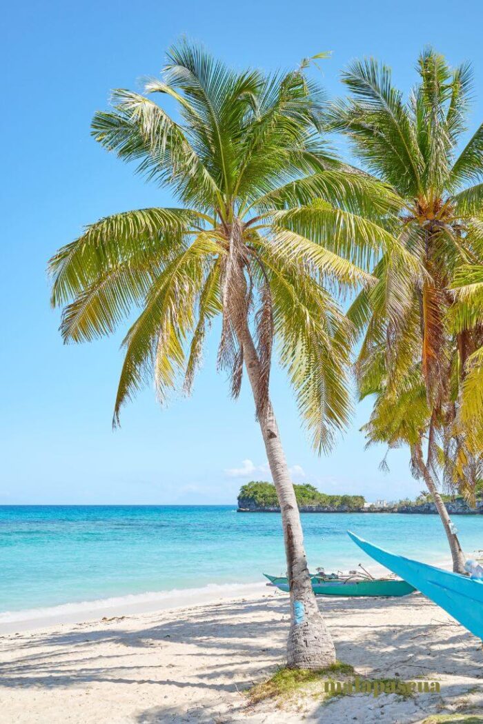 Malapascua Island: Snorkeling Bliss in Asia’s Hidden Gem