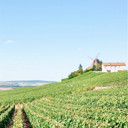 Mazan Côtes Du Ventoux