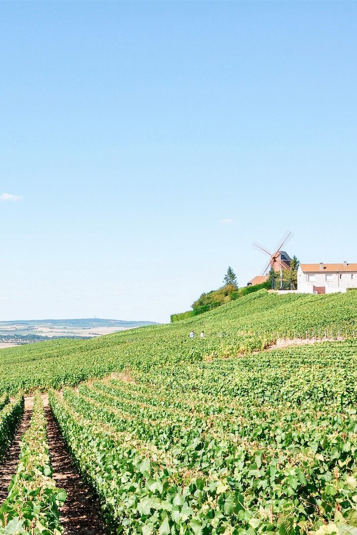 Mazan: Unveiling the Hidden Gem of Côtes du Ventoux Wine Culture