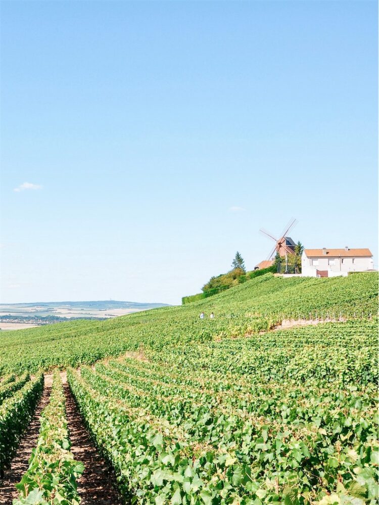 Mazan Côtes Du Ventoux