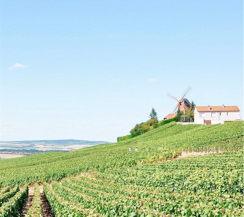 Mazan: Unveiling the Hidden Gem of Côtes du Ventoux Wine Culture