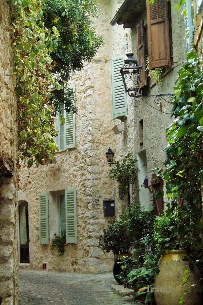 Discover the Quaint Charms of Violès in the Heart of Provence