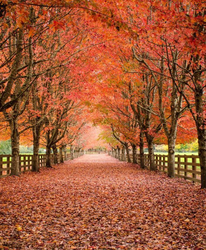 13 Stunning Places to Go in New England in the Fall (That’ll Steal Your Pumpkin-Spiced Heart)